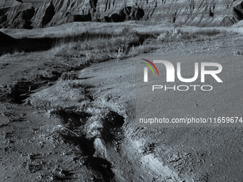 Badlands National Park encompasses more than 244,000 acres in the southwest corner of South Dakota. It is known for jagged peaks, wind-erode...