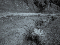 Badlands National Park encompasses more than 244,000 acres in the southwest corner of South Dakota. It is known for jagged peaks, wind-erode...