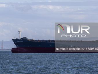 A cargo ship is seen near Lisbon, Portugal, on October 12, 2024. Russian missile strikes on Ukrainian ports this week kill at least 10 peopl...