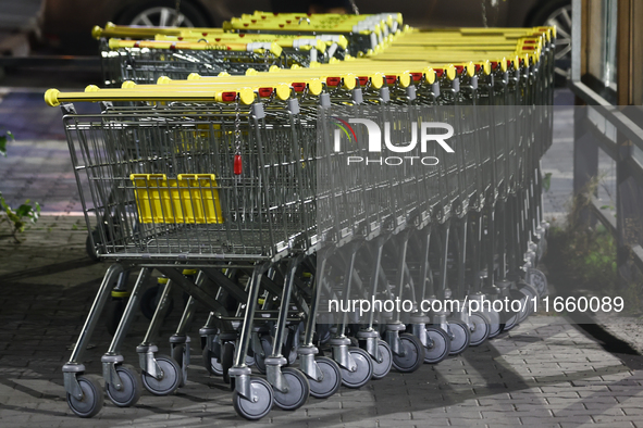 Shopping trolleys are seen near the shop in Inwald, Poland on October 12, 2024. 