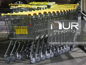 Shopping trolleys are seen near the shop in Inwald, Poland on October 12, 2024. (