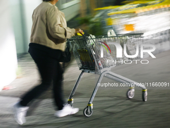 A person walks with a shopping trolley near the shop in Inwald, Poland on October 12, 2024. (