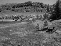 An abandoned wagon sits near a hay field in Custer, South Dakota, USA. (