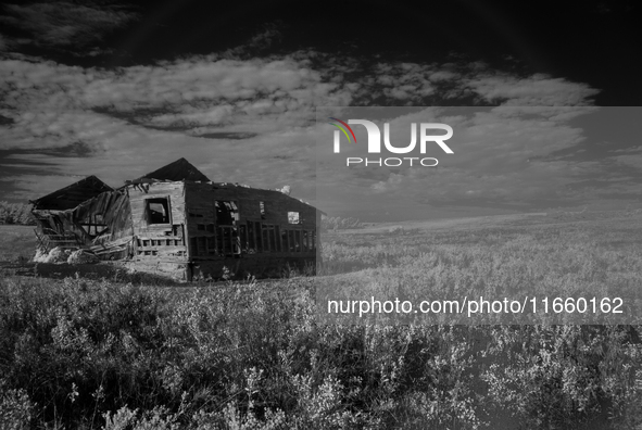 An abandoned homestead gradually succumbs to weather and age in Fall River County, South Dakota, USA. 