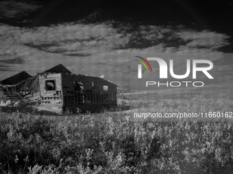 An abandoned homestead gradually succumbs to weather and age in Fall River County, South Dakota, USA. (