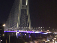 Weekend rush hour traffic occurs on the outer ring highway of Xupu Bridge in Shanghai, China, on October 12, 2024. (