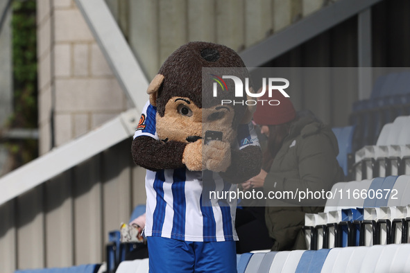 Hartlepool United's mascot H'Angus is present during the FA Cup Fourth Qualifying Round match between Hartlepool United and Brackley Town at...