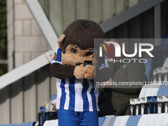 Hartlepool United's mascot H'Angus is present during the FA Cup Fourth Qualifying Round match between Hartlepool United and Brackley Town at...