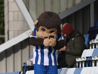 Hartlepool United's mascot H'Angus is present during the FA Cup Fourth Qualifying Round match between Hartlepool United and Brackley Town at...