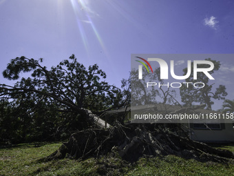 Damage occurs in the Tampa region, Florida, after Hurricane Milton hits the coast on August 9. (