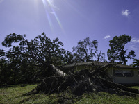 Damage occurs in the Tampa region, Florida, after Hurricane Milton hits the coast on August 9. (