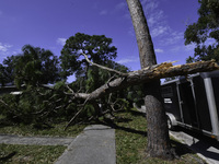 Damage occurs in the Tampa region, Florida, after Hurricane Milton hits the coast on August 9. (