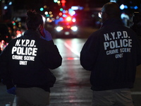 Two men are shot, with one dead, on the Lower East Side of Manhattan, New York, United States, on October 12, 2024. On Saturday evening at a...