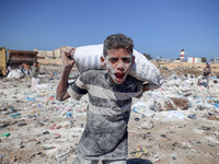 A photo shows Palestinian youths collecting remains of spoiled flour discarded in a makeshift landfill near the tents of displaced people in...