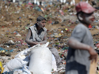 A photo shows Palestinian youths collecting remains of spoiled flour discarded in a makeshift landfill near the tents of displaced people in...