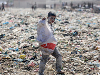 A photo shows Palestinian youths collecting remains of spoiled flour discarded in a makeshift landfill near the tents of displaced people in...