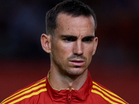 Fabian of Spain looks on before the UEFA Nations League 2024/25 League A Group A4 game between Spain and Denmark at Enrique Roca stadium in...