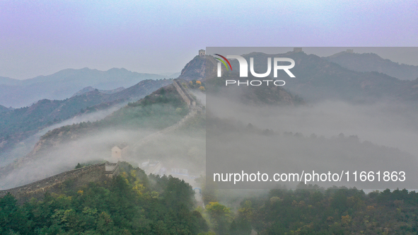 A misty morning mist hangs over the Jinshanling Great Wall in Chengde, China, on October 13, 2024. 