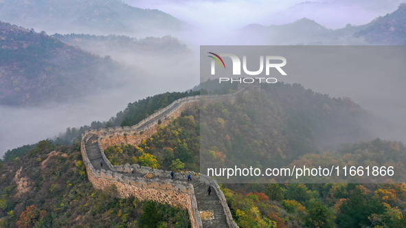 A misty morning mist hangs over the Jinshanling Great Wall in Chengde, China, on October 13, 2024. 