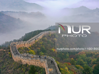 A misty morning mist hangs over the Jinshanling Great Wall in Chengde, China, on October 13, 2024. (