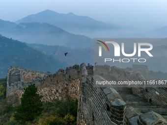 A misty morning mist hangs over the Jinshanling Great Wall in Chengde, China, on October 13, 2024. (