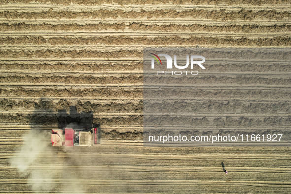 A large peanut harvester harvests dried peanuts at the Yellow River beach in Yongji, China, on October 13, 2024. 