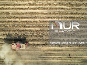 A large peanut harvester harvests dried peanuts at the Yellow River beach in Yongji, China, on October 13, 2024. (