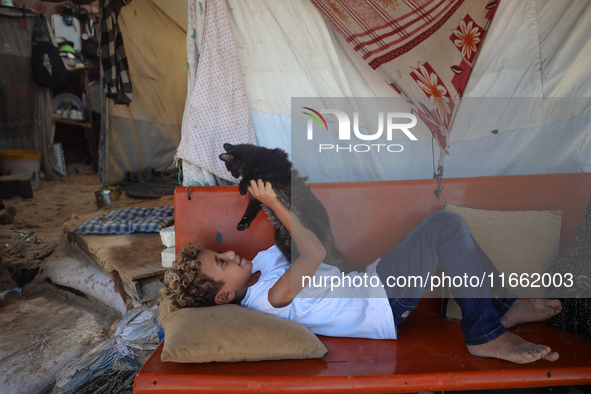 A displaced Palestinian boy carries his pet cat near a makeshift camp, housing displaced Palestinians, on the beach of Deir al-Balah, centra...