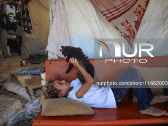 A displaced Palestinian boy carries his pet cat near a makeshift camp, housing displaced Palestinians, on the beach of Deir al-Balah, centra...