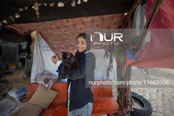 A displaced Palestinian carries her pet cat near a makeshift camp, housing displaced Palestinians, on the beach of Deir al-Balah, central Ga...