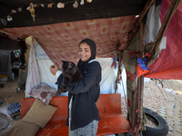 A displaced Palestinian carries her pet cat near a makeshift camp, housing displaced Palestinians, on the beach of Deir al-Balah, central Ga...