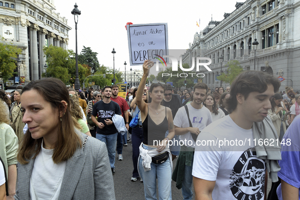 Madrid stands for the right to decent housing. Almost 40 collectives take to the streets in Madrid, Spain, on October 13, 2024, to fight aga...