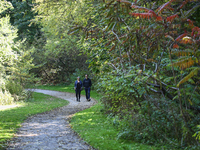 People walk along a forest trail in Markham, Ontario, Canada, on October 12, 2024. (