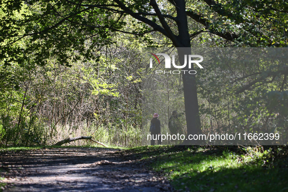 People walk along a forest trail in Markham, Ontario, Canada, on October 12, 2024. 