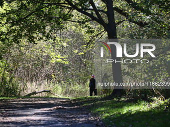 People walk along a forest trail in Markham, Ontario, Canada, on October 12, 2024. (