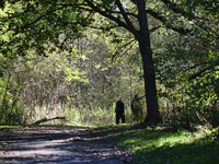 People walk along a forest trail in Markham, Ontario, Canada, on October 12, 2024. (