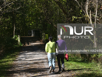 People walk along a forest trail in Markham, Ontario, Canada, on October 12, 2024. (