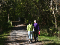 People walk along a forest trail in Markham, Ontario, Canada, on October 12, 2024. (