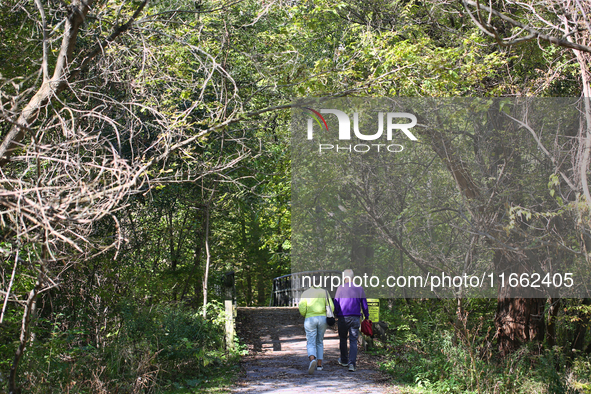 People walk along a forest trail in Markham, Ontario, Canada, on October 12, 2024. 