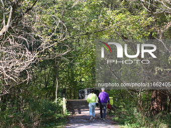 People walk along a forest trail in Markham, Ontario, Canada, on October 12, 2024. (