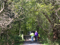 People walk along a forest trail in Markham, Ontario, Canada, on October 12, 2024. (