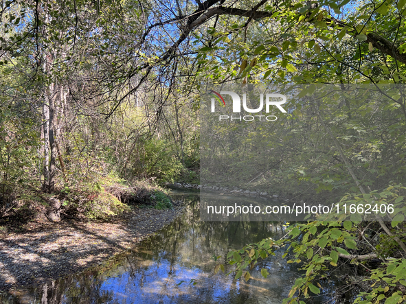 The East Don River flows through a forest on an unseasonably warm autumn day in Markham, Ontario, Canada, on October 12, 2024. 