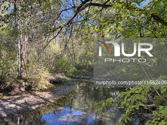 The East Don River flows through a forest on an unseasonably warm autumn day in Markham, Ontario, Canada, on October 12, 2024. (