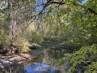 The East Don River flows through a forest on an unseasonably warm autumn day in Markham, Ontario, Canada, on October 12, 2024. (