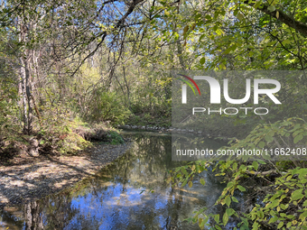 The East Don River flows through a forest on an unseasonably warm autumn day in Markham, Ontario, Canada, on October 12, 2024. (