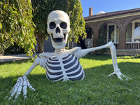 A giant skeleton stands outside a house in preparation for Halloween in Markham, Ontario, Canada, on October 12, 2024. (