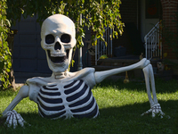 A giant skeleton stands outside a house in preparation for Halloween in Markham, Ontario, Canada, on October 12, 2024. (