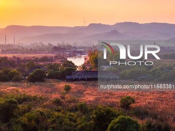 In Weinan, China, on October 13, 2024, the photo shows the Qiachuan wetland in the Yellow River in Weinan city, Shaanxi province, China. (