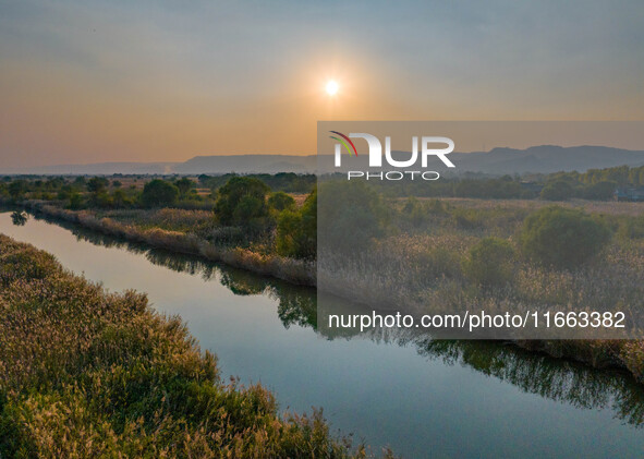 In Weinan, China, on October 13, 2024, the photo shows the Qiachuan wetland in the Yellow River in Weinan city, Shaanxi province, China. 