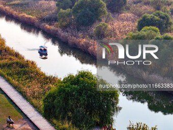 In Weinan, China, on October 13, 2024, the photo shows the Qiachuan wetland in the Yellow River in Weinan city, Shaanxi province, China. (